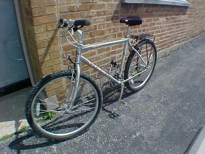 1994 giant iguana